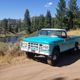 The greens and blues in the 60s were much better than today. I want a modern truck with this color... maybe?